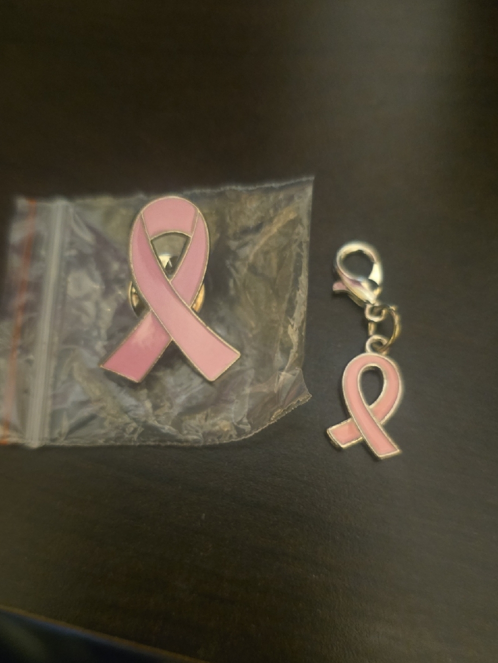 Pink Ribbon Awareness Pin and Charm Set